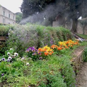 giardino3