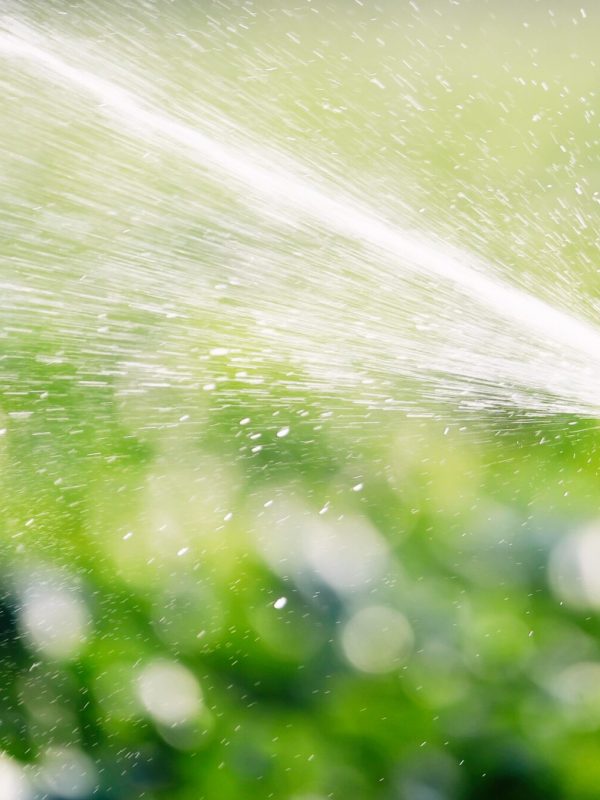 irrigation-system-in-function-watering-agricultura-WZ4LKQ4-min